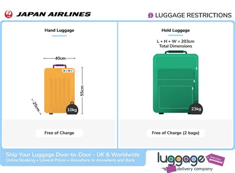 japan airlines american region baggage policy